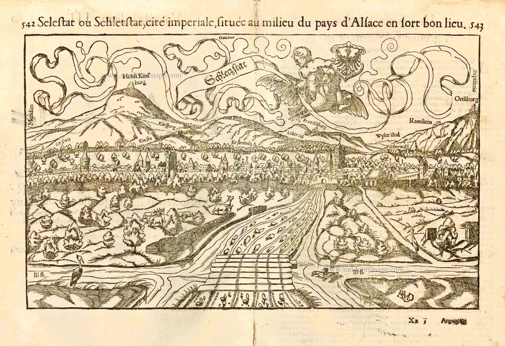 Selestat ou Schlestat, cité imperiale, située au milieu du pays d'Alsace en fort bon lieu.
