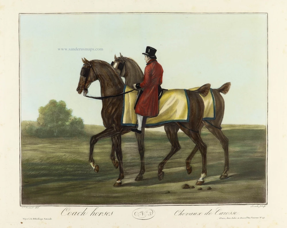 Coach horses N°:3 Chevaux de Carosse