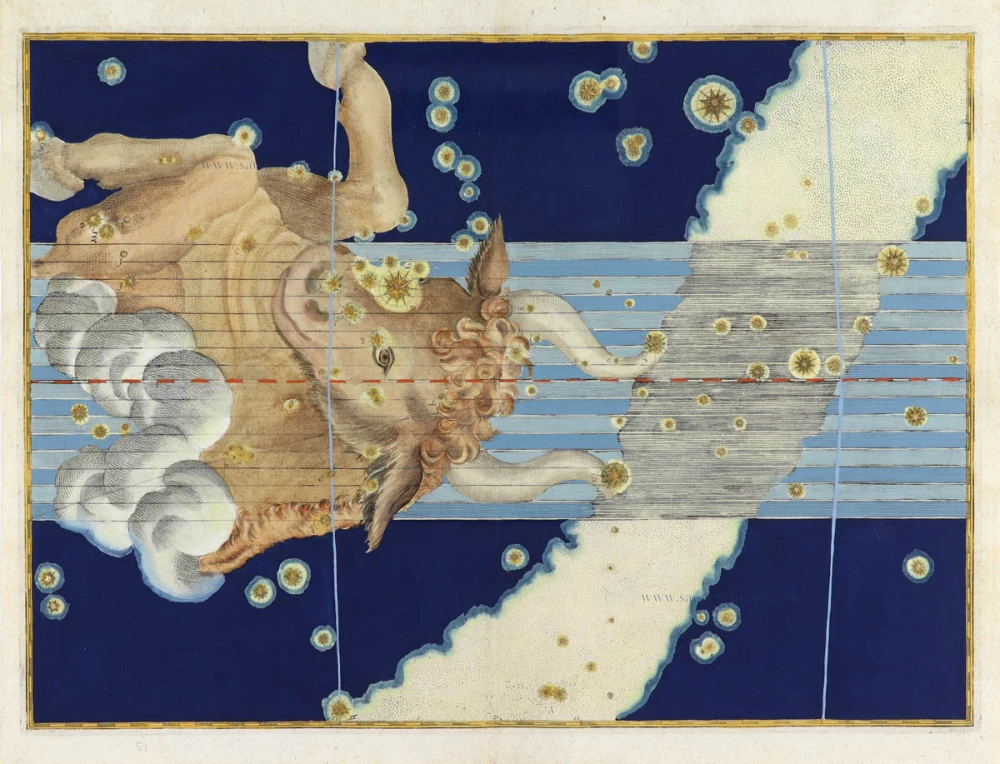 <i>TAURUS</i>, by Johann Bayer.