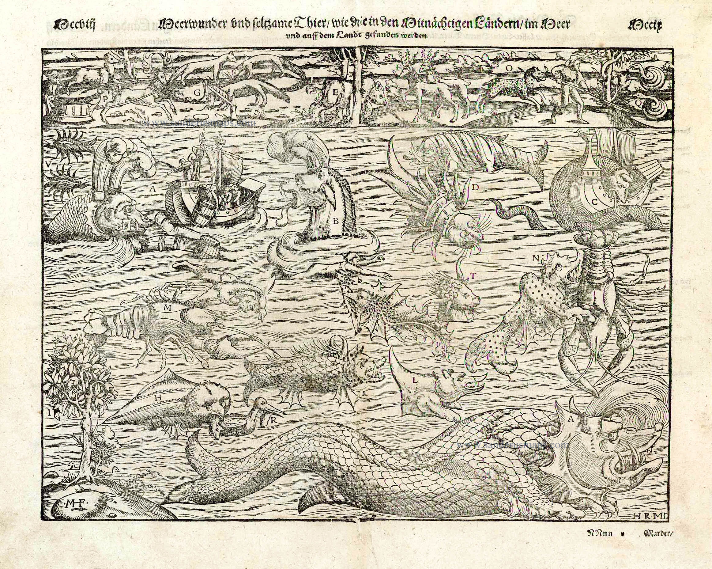 Old antique print of sea monsters inhabiting the north Atlantic and of  animals found in northern lands, by Sebastian Münster.