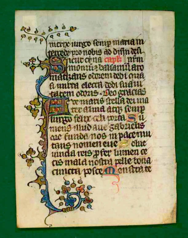 Leaf from a medieval book of hours, illuminated manuscript on vellum ...