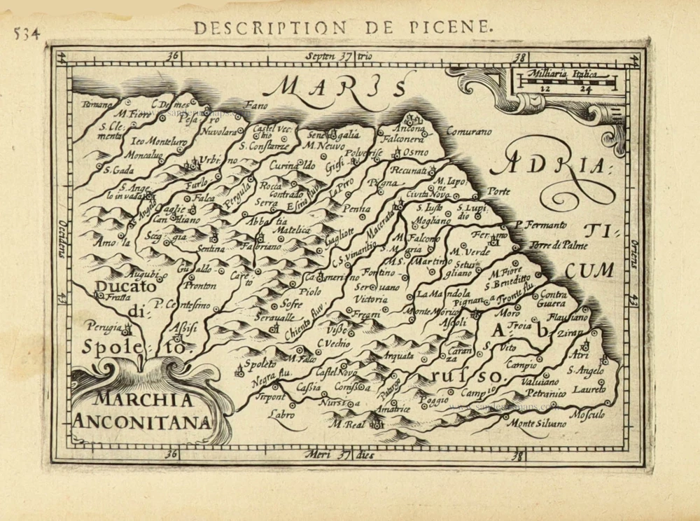Marchia Anconitana.