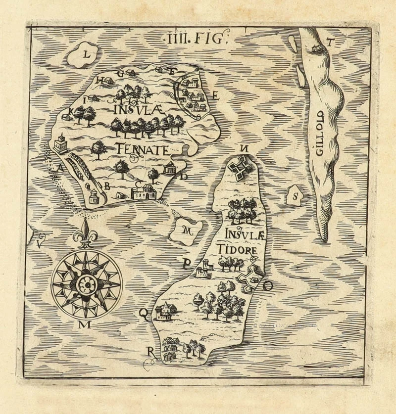 Spice Islands by Hulsius Levinus.