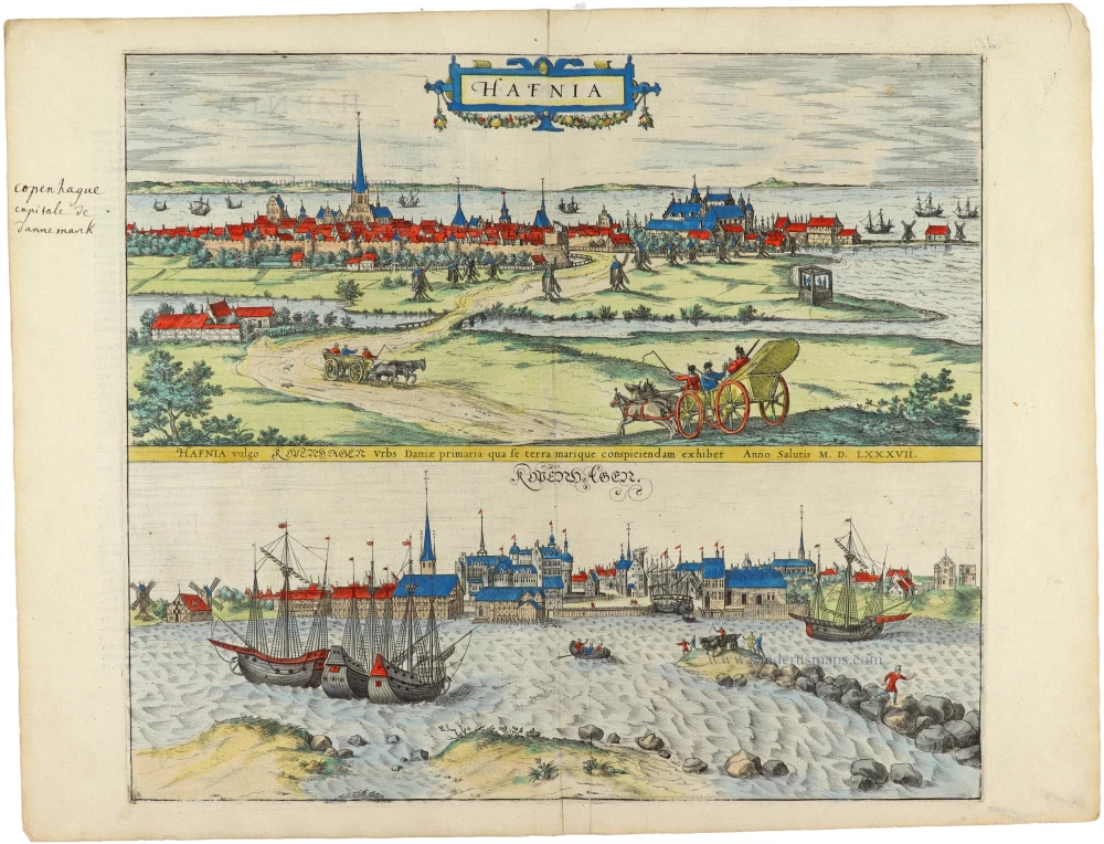 Hafnia vulgo Kopenhagen.